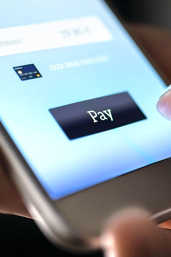 Erika N salter PC Pay Online