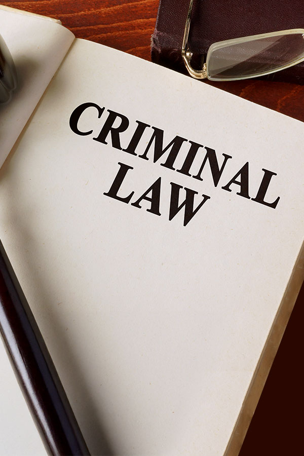 Erika N Salter PC Criminal Law