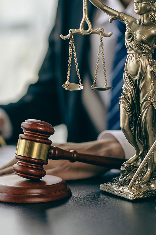 Erika N Salter PC Law Services